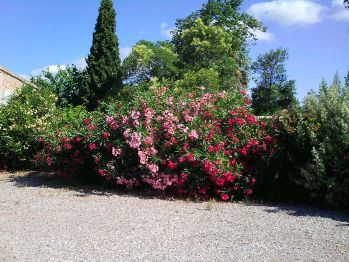 Villa Aigues Vives Boutenac Екстериор снимка